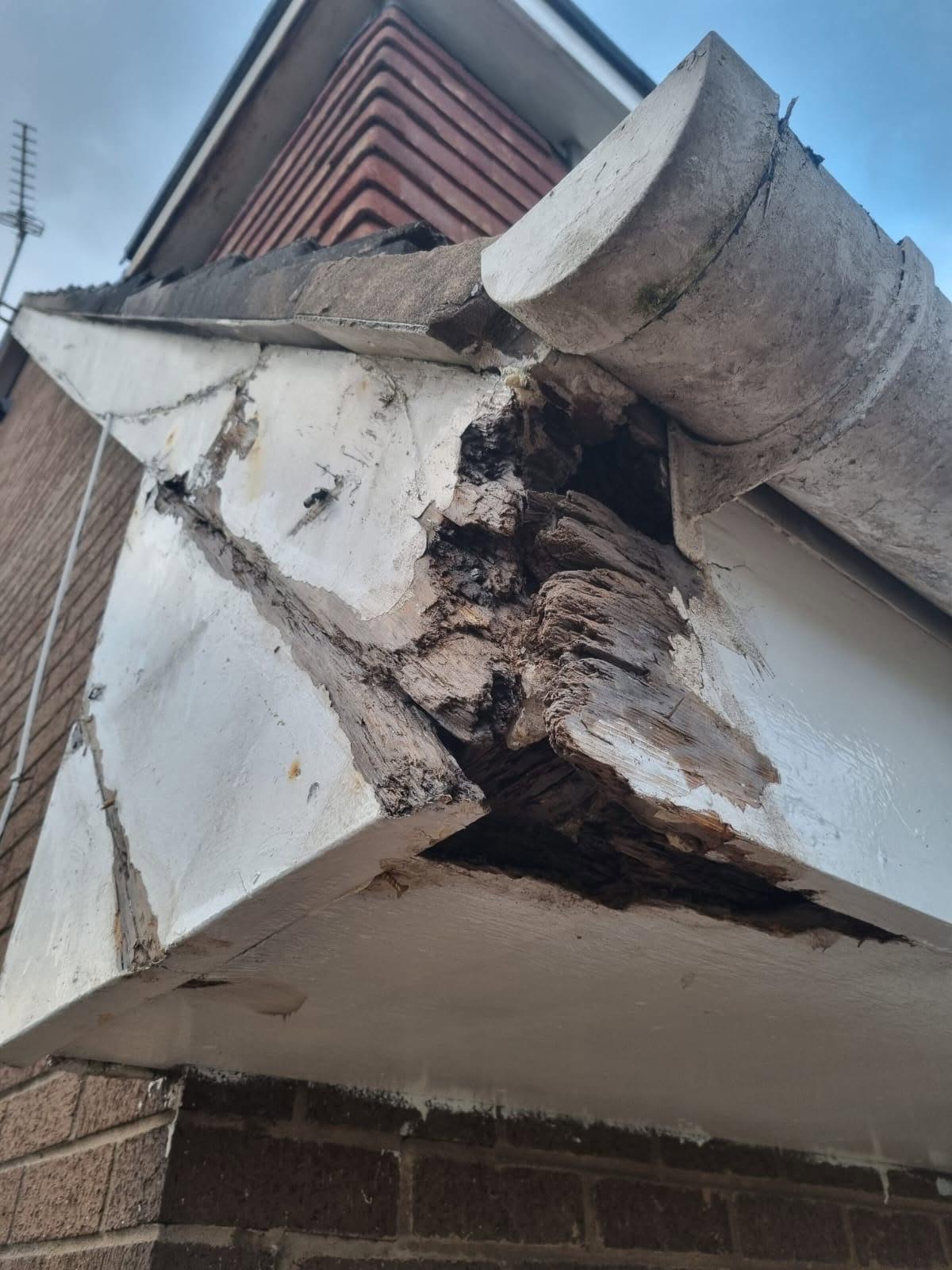 Rotted timber fascia and bargeboard at the roof edge ready for replacement