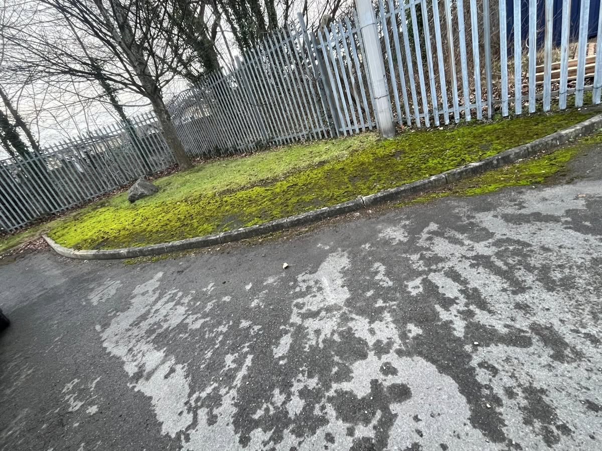 Moss-covered verge and stained kerb before DMS grounds maintenance